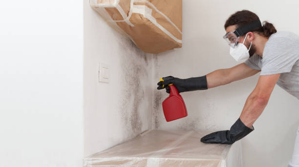 Professional Attic Mold Remediation technician working in Island Lake, IL