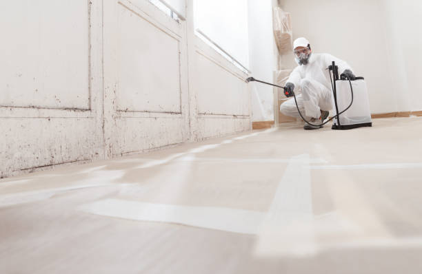 24/7 Emergency Attic Mold Remediation experts in Island Lake, IL